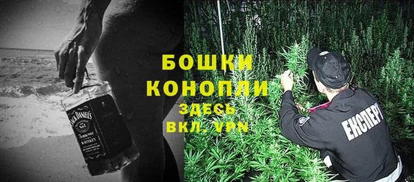 шишки Богородск