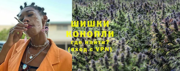 mdpv Богородицк