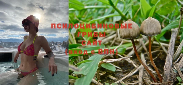 крисы Богданович