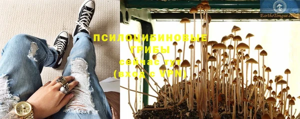 mdpv Богородицк