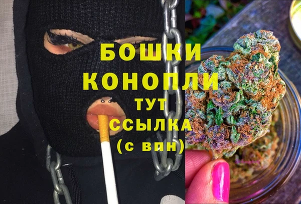 шишки Богородск