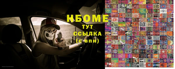 шишки Богородск