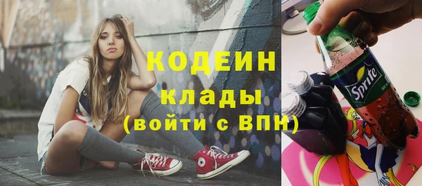 шишки Богородск
