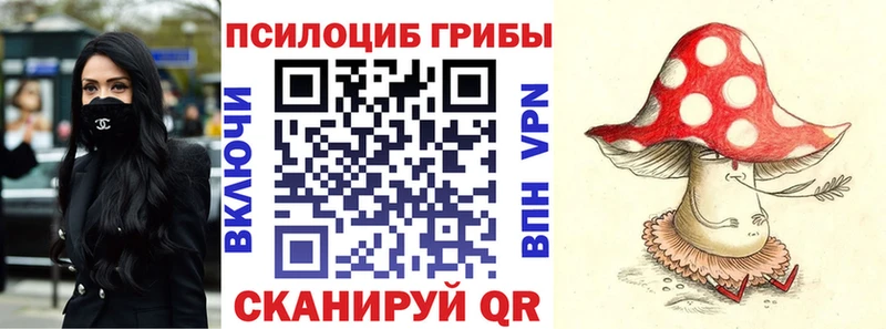 Галлюциногенные грибы Psilocybe  Ясногорск 