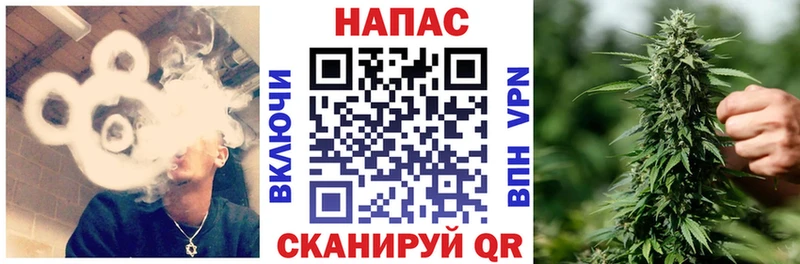 Шишки марихуана марихуана Ясногорск